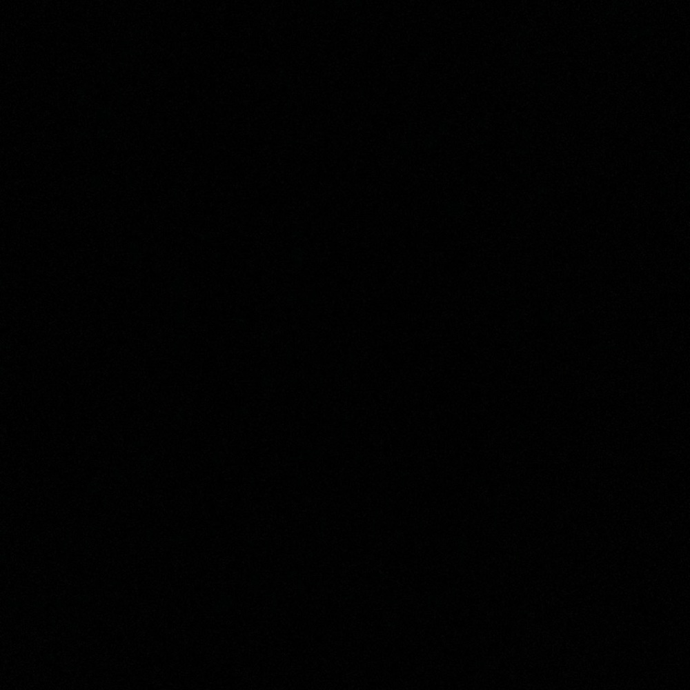 IGNORE